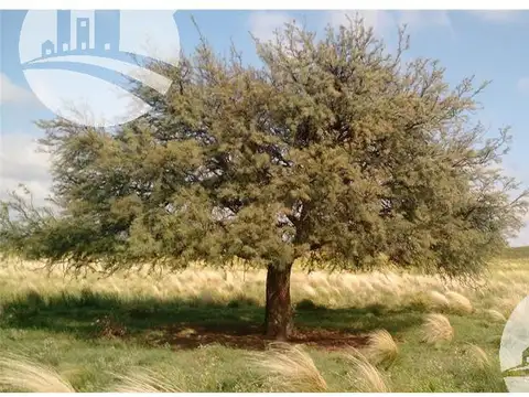 Terreno en Venta 47  mts Frente