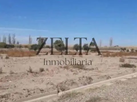 Barrio La Arbequina 100