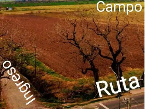 33°17'47.7"S 60°16'17.4"W