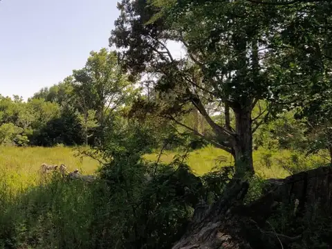 Terreno en Venta de 921,0 m2
