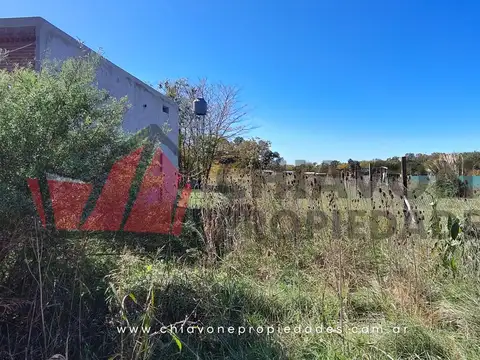 Picaflor 400