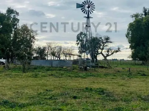 Ruta 36 altura Payro , Piso 0