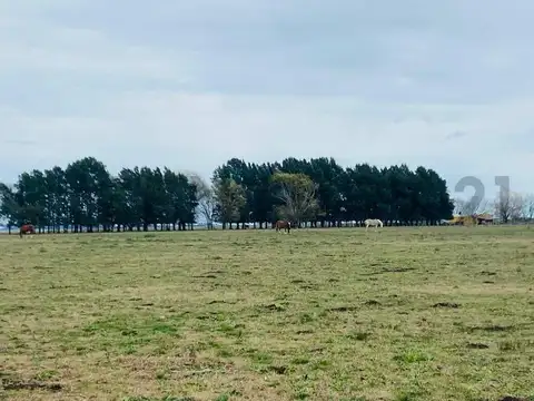 Campo en Venta de 0,01  ha