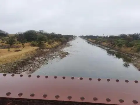 Las Avispas Camino Rural