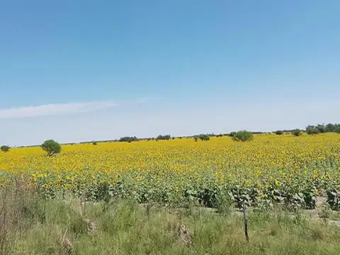 Campo Mixto 2.000 hectareas Las Avispas - Santa Fe