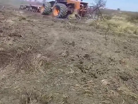 Campo Mixto 2.000 hectareas Las Avispas - Santa Fe