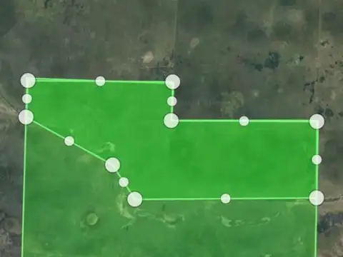 Campo Mixto 2.000 hectareas Las Avispas - Santa Fe