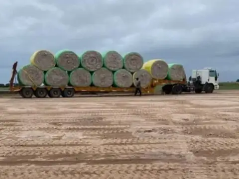 Las Avispas Camino Rural