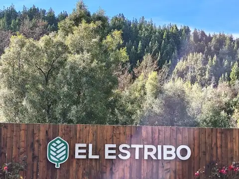 Av De Los Pioneros 1000