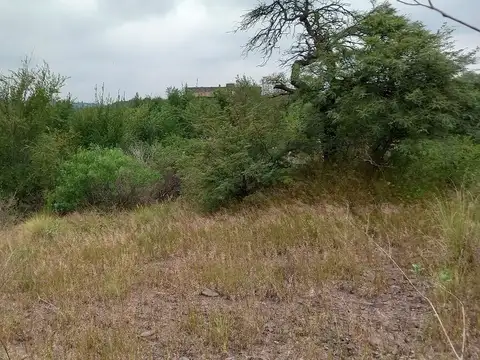 VENTA LOTE DESARROLLO DE BAJA DENSIDAD V. ALLENDE