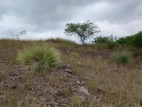 Terreno en Venta de 12581,0 m2