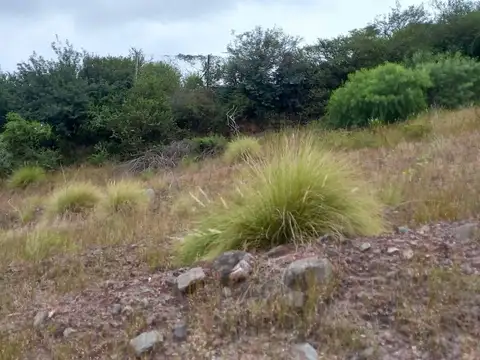 Cerro Lanín