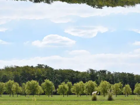 Lote en venta Campos de Roca 2