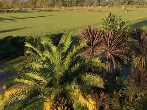 Terreno en Venta en Alejandro Petion, USD 32.000