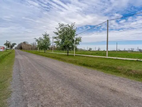 Terreno en Venta en Villa Elvira, USD 15.800