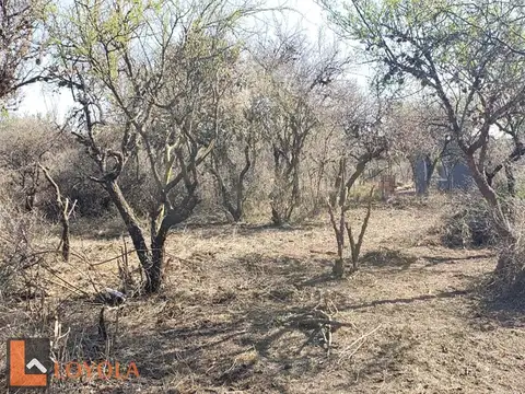 Terreno en Venta de 1649,0 m2