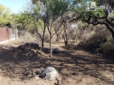 Publica S/n ( Sacramento, Cerro De Oro)