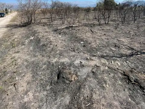 Mollar Ii Ampliación