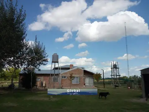 Campo en Venta de 31  ha