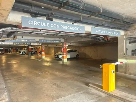 Junín  al 100
