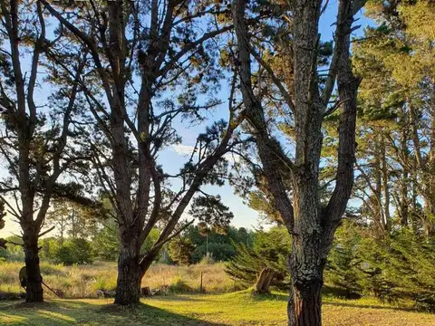 Venta de terreno en Costa Del Este (28536)