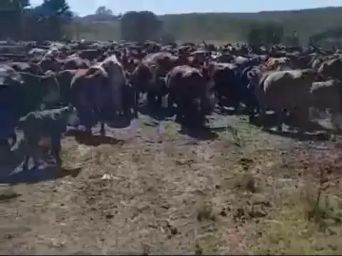 Estancia san pedro viejo