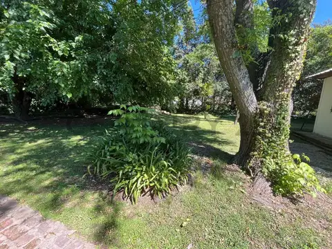 Terreno en Venta en Arturo Seguí, USD 62.000