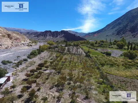 Terreno en Venta de 13000,0 m2