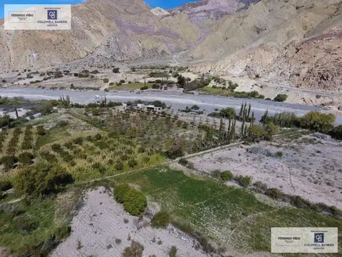 Terreno paradisiaco de 13.000 m2 en Purmamarca