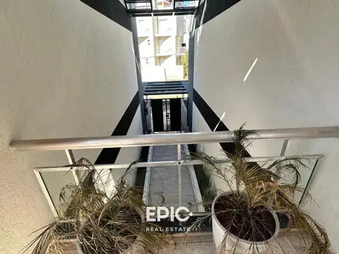 Del Mejillón y Del Centauro 3