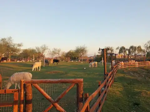 Terreno en Venta en Chacras De General Rodriguez, USD 17.500