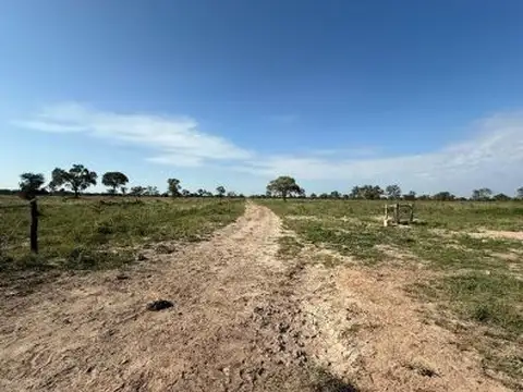 Venta campo Lugones Santiago del Estero