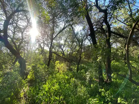 Terreno en Venta en Loma Bola, USD 25.000