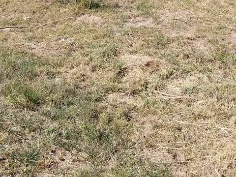 Terreno en Venta de 463,0 m2