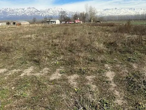 Caligoli 0