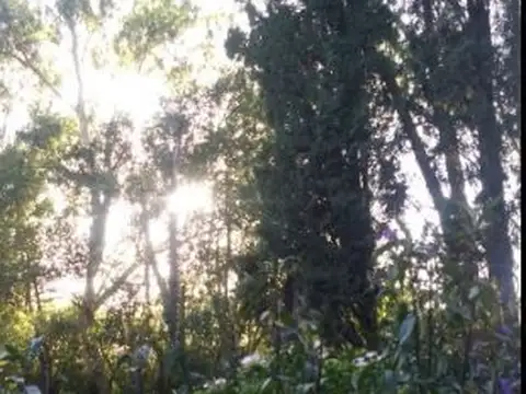 Terreno - Venta - Argentina, Domselaar - Ruta 210 54700