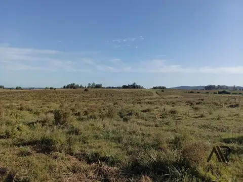 Venta Muy Buen Campo De 77 Hectáreas, Zona Muy Accesible Y De Hermosas Vistas.