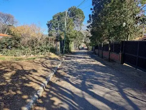 LAS MAGNOLIAS 100