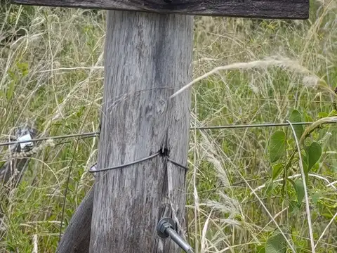 Terreno en Venta en Villa De Las Rosas, USD 10.000