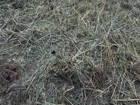 Terreno con cimientos