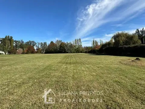 Gran lote interno en venta Campos de Roca l