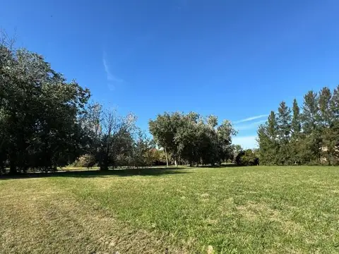 Terreno en Venta de 5000,0 m2