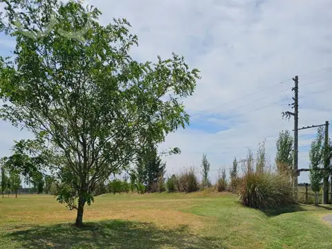 Terreno - Santa Clara al Sur
