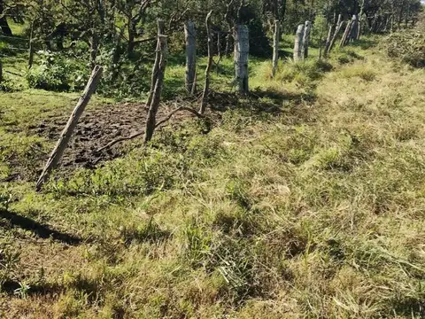 Ripio A Bernardi