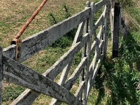 Ripio A Bernardi