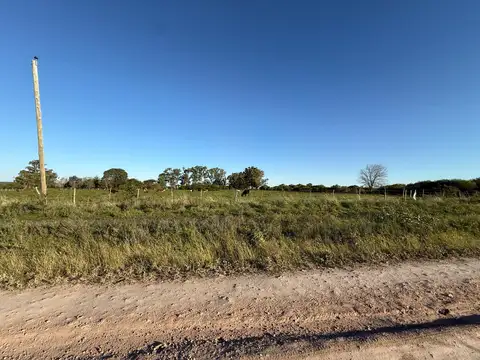 Campo en Venta Forestal