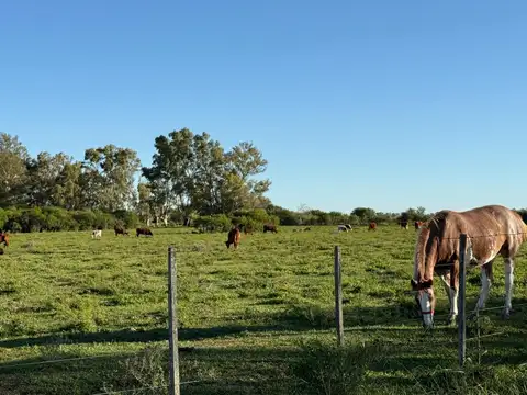 Venta de hermosa Chacra en Pueblo General Belgrano