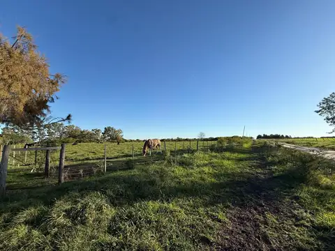 Venta de hermosa Chacra en Pueblo General Belgrano