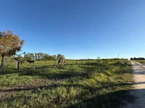 Campo en Venta de 6,45  ha