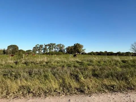 Campo en Venta de 6,45  ha